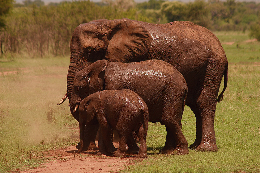 IMG_7888_20190516112958399