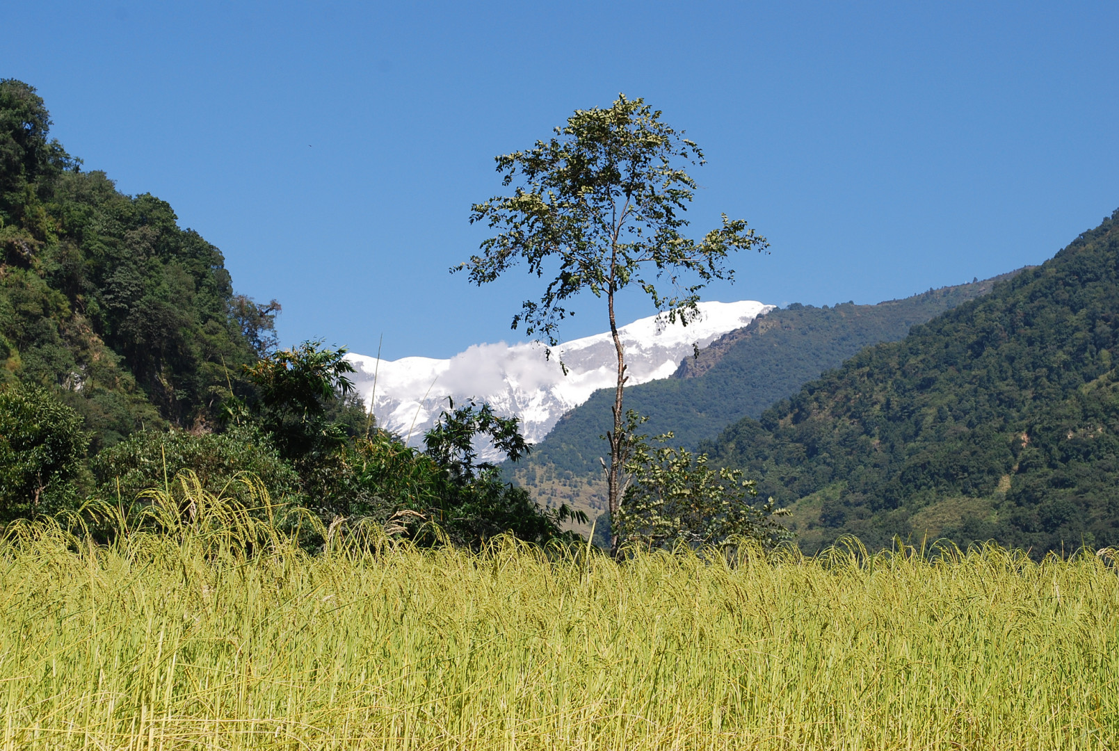 nepal - lamjung himal 2012 - Lankhorst (16) kopie_20190515155046554